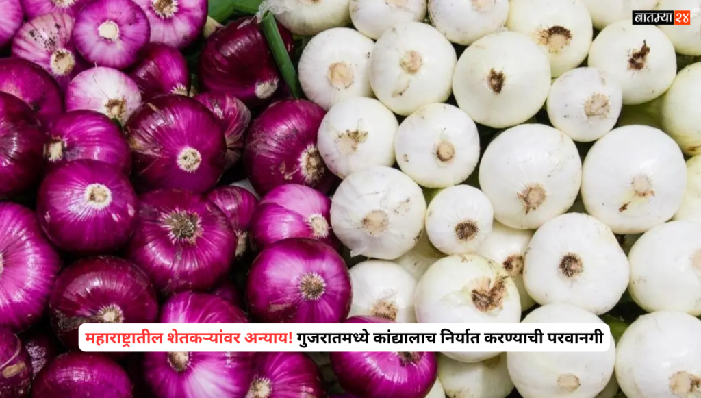 Injustice to farmers in Maharashtra! Only onion allowed to be exported in Gujarat