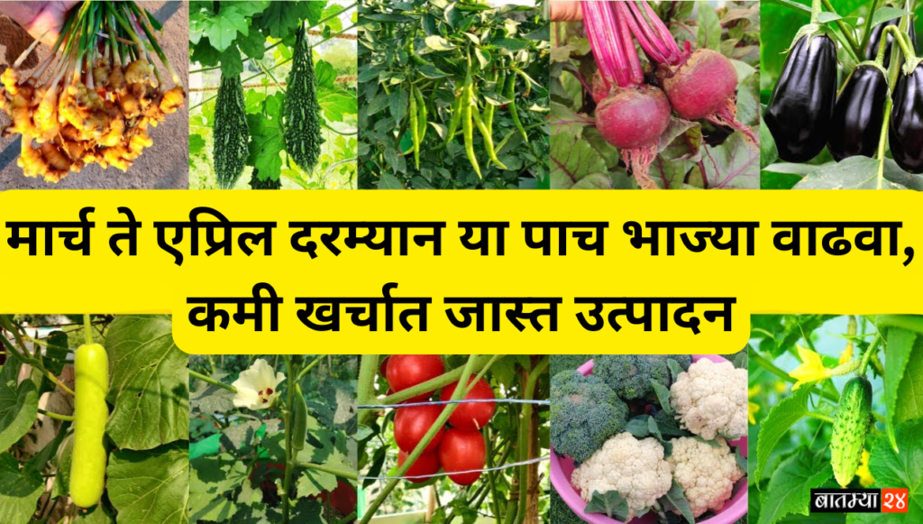 grow-these-five-vegetables-between-march-and-april-for-high-yield-at-low-cost