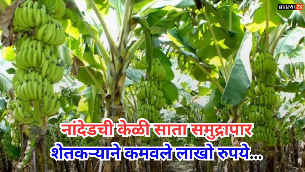 Nanded The Farmer Earned Lakhs Of Rupees