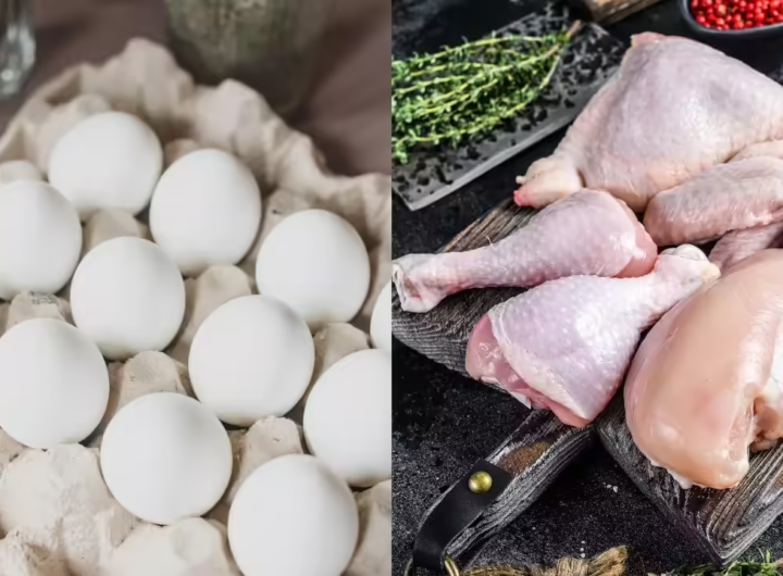A food rich in protein if you don't eat chicken or eggs