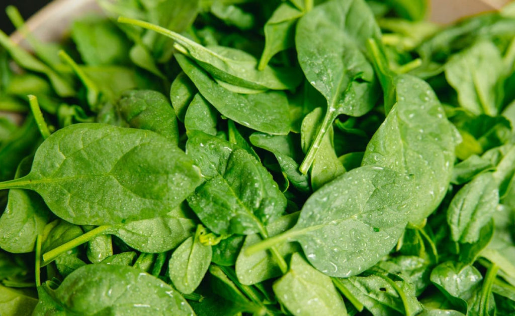 Raw or cooked spinach Which is better for your health?
