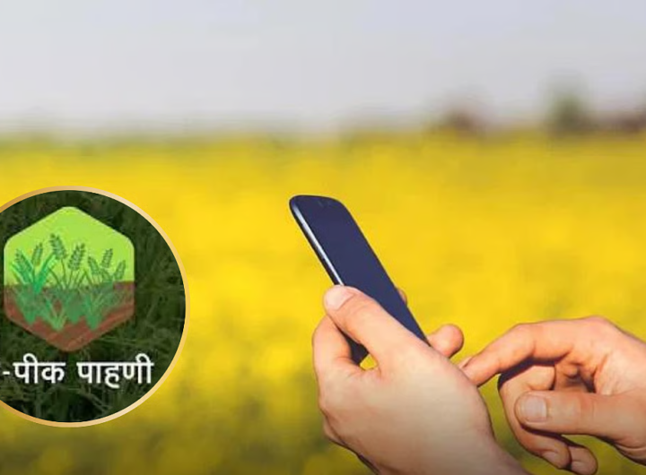 offline option is available for those who missed the ecrop survey