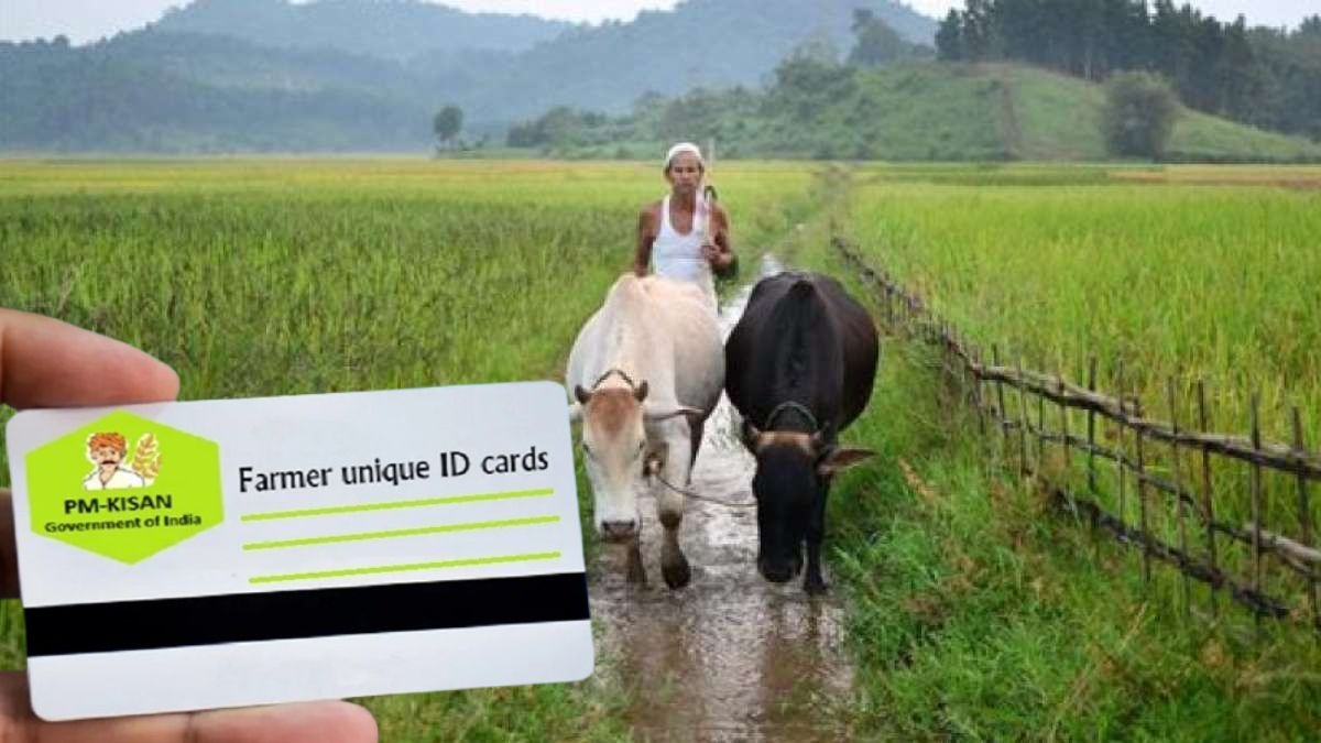 जर तुमच्याकडे शेतकरी ओळखपत्र (Farmer ID) नसेल, तर पीएम किसान योजनेच्या २२व्या हप्त्याबद्दल विसरून जा. ते कसे मिळवायचे? जाणून घ्या.
