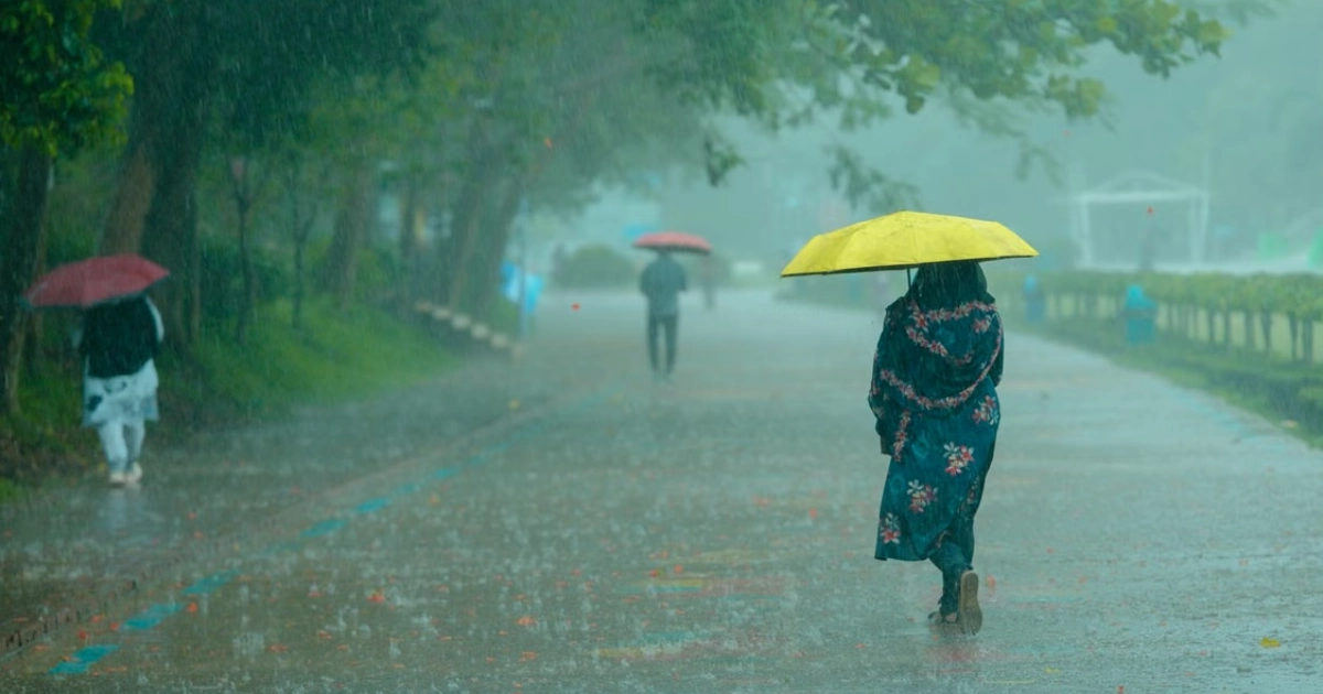 Maharashtra Rain Update: राज्यभर मुसळधार पावसाचा तडाखा; विदर्भ, कोकण, घाटमाथा, मुंबई-पुण्यात जोरदार सरी, नद्यांच्या पाणीपातळीत वाढ