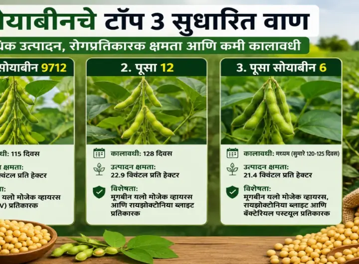 सोयाबीनच्या सुधारित वाणांची शेती